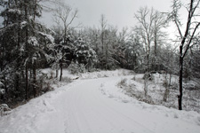 Snowy Road