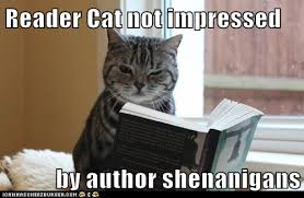 Author Cat Shenanigans